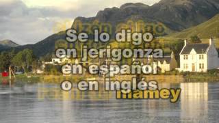 Hector Lavoe Songorocosongo Karaoke [upl. by Yak]