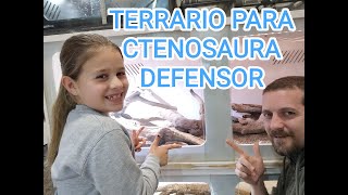 Terrario Ctenosaura Defensor [upl. by Bullard836]