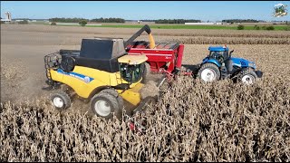 Corn Harvest 2024 near Versailles Ohio  New Holland Combine [upl. by Patty423]