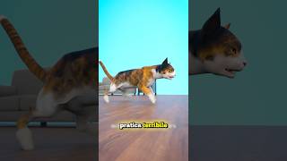 UNA TERRIBILE PRATICA SUI GATTI credits ​⁠zackdfilms [upl. by Cindie]