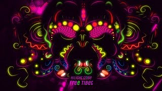 Hilight Tribe  Free Tibet Vini Vici Remix [upl. by Karlie]