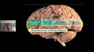 Evaluación neuropsicológica infantil CUMANIN2 [upl. by Jeanna]