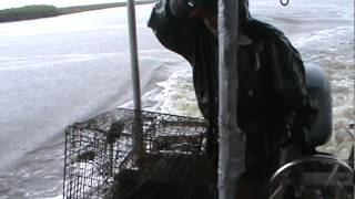 Blue Crab Fishing cajun style in south louisiana part 2 [upl. by Aissatsan]