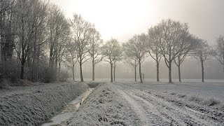 Weerbericht vrijdagmiddag Vannacht mogelijk zeer glad [upl. by Encratis185]