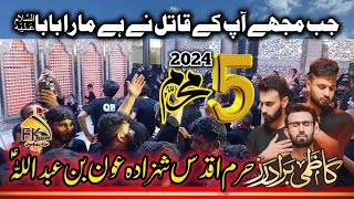 Karbala 5 Muharram 2024  Kazmi Brothers 110  Jab Mujhe Apke Qatil Ne Ha Mara Baba [upl. by Ezra]