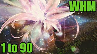 FFXIV Endwalker ConjurerWhite Mage 1 to 90 Leveling Skills Guide [upl. by Nisotawulo]