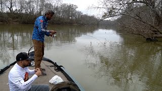 Increíble Cuantos Peces En Este Lugar  Pesca Y Cocina [upl. by Messab]