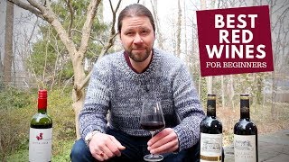 The Best Red Wines For Beginners Series 6 Malbec [upl. by Enaile258]