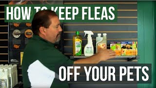 How to Keep Fleas off Pets [upl. by Godding]