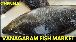 Chennai Vanagaram Fish Market  Part 03 [upl. by Nelly]