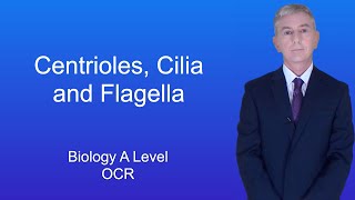 A Level Biology Revision quotCentrioles Cilia and Flagella OCRquot [upl. by Nehr]