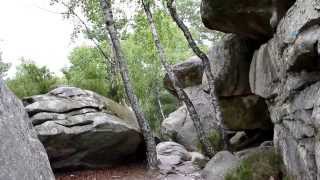 Sentier Denecourt N°6 en Foret de Fontainebleau [upl. by Wauters]