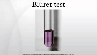 Biuret test [upl. by Tyoh365]