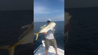 Exciting Jack Crevalle Catch on light tackle in Pensacola Bay with Navarre Beach Inshore Charters [upl. by Sirovart]