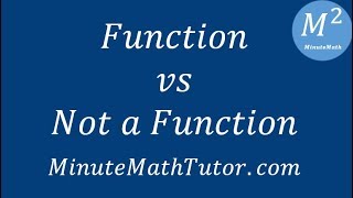 Function vs Not a Function [upl. by Hardman803]