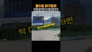 홍수로 야구장이 잠겼을때 팬의 사연 웃긴영상 쇼츠 쇼츠 사실 [upl. by Aires]