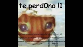 me perdonas no no te perdono te perdono todos los videos de ste gato ｡◕‿‿◕｡ [upl. by Dygal]