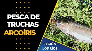 PESCA DE TRUCHAS ARCOÍRIS EN EL SUR DE CHILE 🎣🔥 [upl. by Flower]