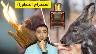 شاهد استخراج 20 نوع من أنواع العطور😱المسك والعنبر والعود😍 عطر الورد وخشب الصندل الخ [upl. by Breban]