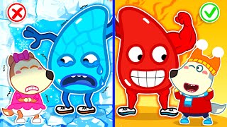 🔴 LIVE Hot vs Cold Lungs  Kids Learn Healthy Habits  Wolfoo Family [upl. by Merridie360]