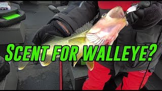 Does Scent Actually Work For Walleye Fishing [upl. by Enelad334]