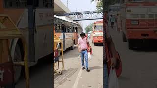 Mohan Nagar bus stand [upl. by Elehcin]