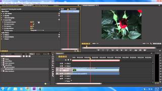 How to Use the Leave Color Effect in Adobe Premiere [upl. by Lael]