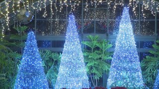 Festival of Lights returns to Niagara Falls Ontario [upl. by Chita]