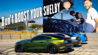 THOUGHT I BLEW UP MY SHELBY [upl. by Atiuqaj10]