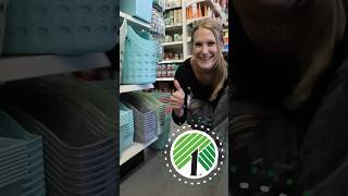 DOLLAR TREE organization hacks 🤯 2024 dollartree [upl. by Konstanze]