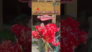 Set hoa cổng cưới tone đỏ cực cháy cho anh chị sự kiện Giá tại kho luôn yêu thương youtubeshorts [upl. by Hterrag]