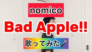 【nomico】Bad Apple feat nomico 歌ってみた🎤 [upl. by Aniral384]