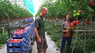 Jorrit Jonkers en Roy van der Ploeg over Bio Tomaten [upl. by Trocki]