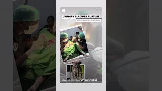 Urinary Bladder Rupture  Uroabdomen  Boxer lykapetclinic Madurai amp Dindigul [upl. by Onabru]