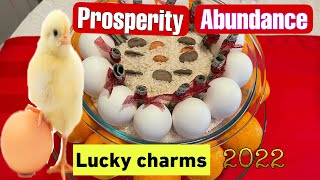 HOW TO MAKE A PROSPERITY BOWL FOR ABUNDANCE THIS NEW YEAR 2023I Marcy Green Vlog [upl. by Macegan]