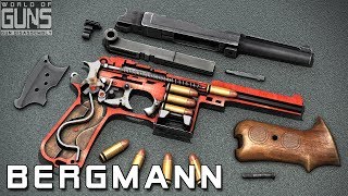 How does BergmannBayard model 1910 work [upl. by Adle]