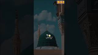 Madina pak madina madinah madinapak shortsfeed shorts short shortvideo [upl. by Jennine]