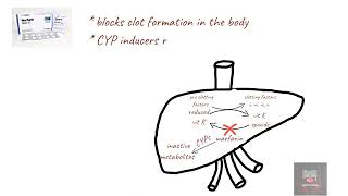 DRUGS THAT REDUCE WARFARIN EFFECTS MNEMONIC [upl. by Juxon]