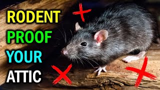 8 Proven Methods To Get Rid of Rodents in the Attic [upl. by Husein989]