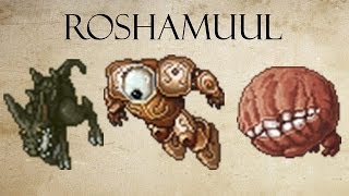 TIBIA  Roshamuul Team Hunt strategy Elite Knight Lv321 amp Elder Druid Lv161 [upl. by Alemahs638]