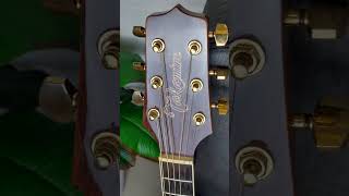 Gitar Akustik Elektrik Takamine GD51CENAT [upl. by Leimad720]