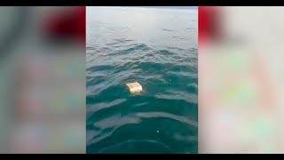 Guardacostas encuentran 10 kilos de cocaína flotando en el mar [upl. by Sherry]