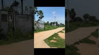 agriculture agriculture farming chemicalsherbicide herbicides spraying villagepaddy rice [upl. by Buck391]