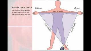 12 Lead Interpretation Part 1 Introduction to the 12 Lead EKG [upl. by Amehr]