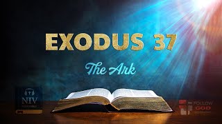 The Book of Exodus  Chapter 37 The Ark  NIV Audio Bible [upl. by Eyr]