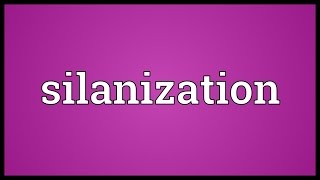 Silanization Meaning [upl. by Gildus208]