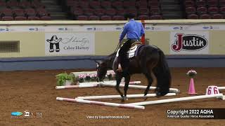 2022 Farnam AQHA and Adequan Select World Amateur Trail [upl. by Enitsud]