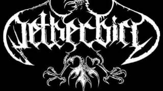 Netherbird  Across the Chasm lyrics [upl. by Deadman564]