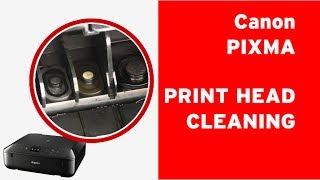 How to clean Canon PIXMA print head flushing clogged nozzles on a print head [upl. by Woodcock]