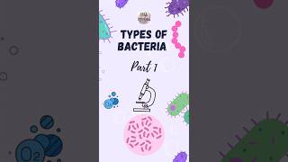 Types of bacteria and their classification Part 1 bacteria bacteriatypes microbiology bacteria [upl. by Arri36]